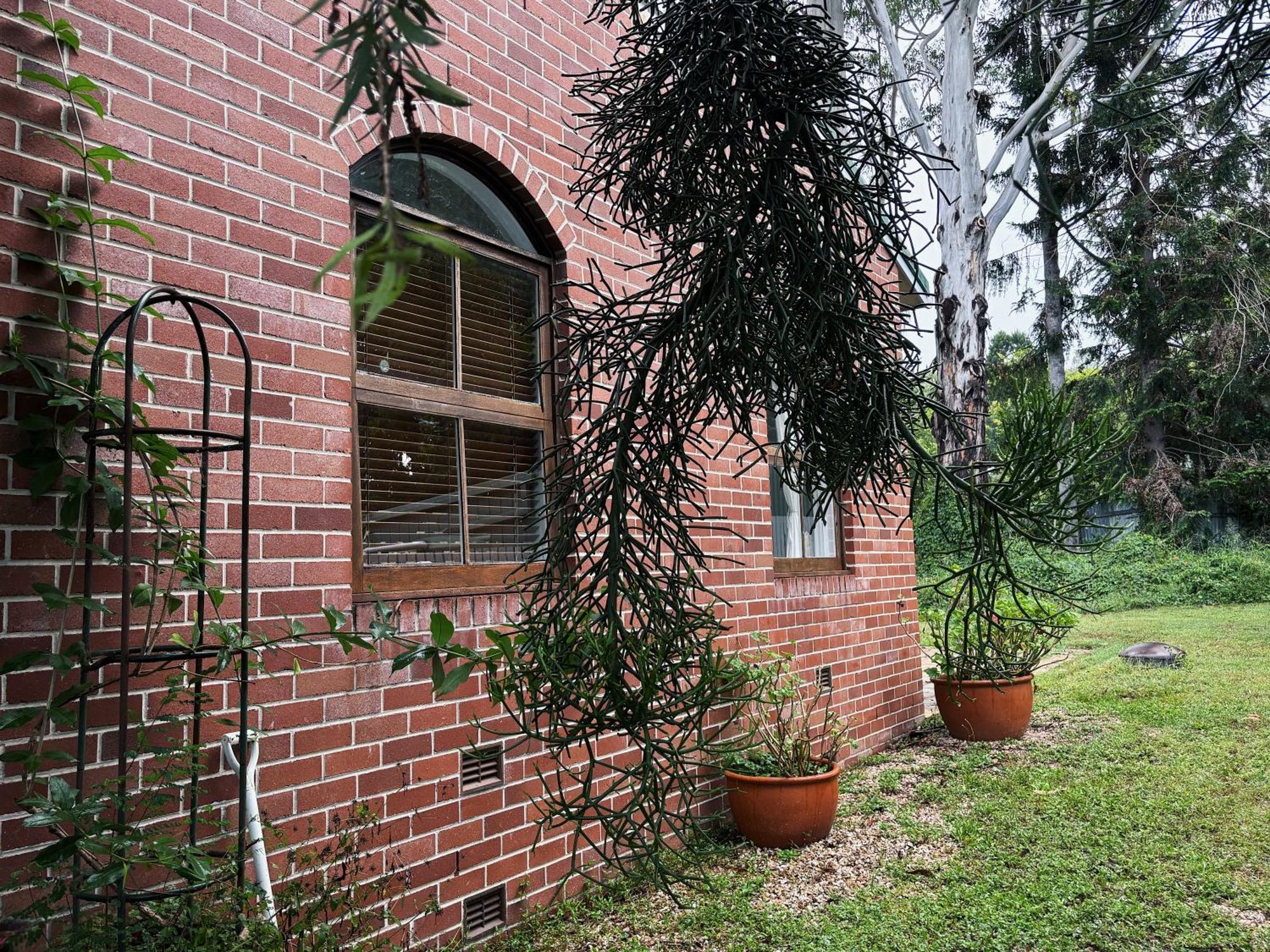 Celestial Dew Guesthouse In Tyalgum Экстерьер фото